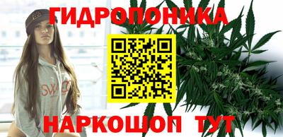 шишки Анжеро-Судженск