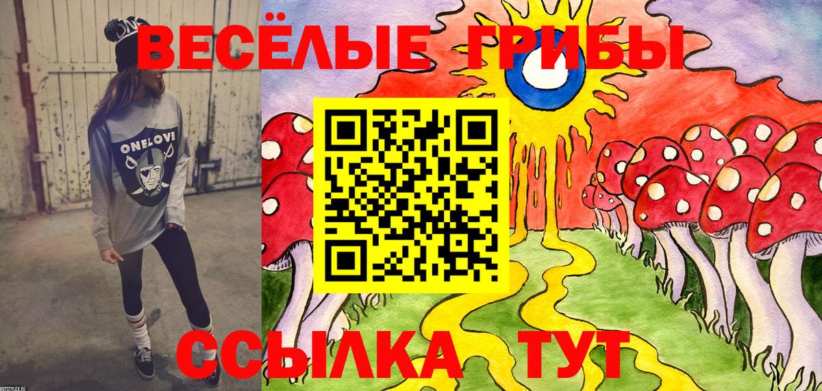 Галлюциногенные грибы Psilocybe Добрянка